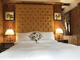 Отели типа «постель и завтрак» Lavanda Bed and Breakfast Ковачевица Двухместный номер с 1 кроватью-2